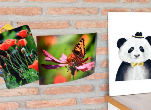 Fotomagnetka, PVC fotopanel alebo XL fotografia. Každá dobrá fotografia si zaslúži byť publikovaná. Vystavte vaše spomienky na obdiv. 
