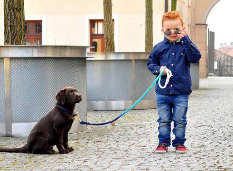 Dizajnový obojok alebo vôdzka od Hound pre náročných chlpáčov. Ručne vyrábaný doplnok, za ktorým sa budú všetci otáčať!