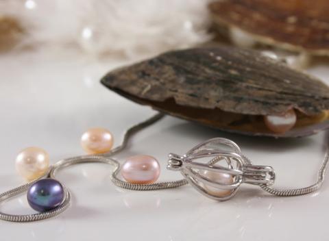 Potešte vašu milovanú jedinečným darčekom. Perla prianí v perlorodke alebo elegantná sada perlových šperkov na každú príležitosť. 