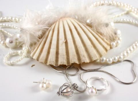 Perla prianí v perlorodke alebo elegantná sada perlových šperkov na každú príležitosť. Jedinečný darček pre vašu milovanú polovičku.