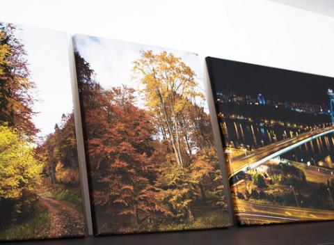 Fotoobraz na plátne s fotografiou alebo obrázkom podľa vášho výberu, ktorý zútulní a skrášli interiér presne podľa vášho vkusu. 