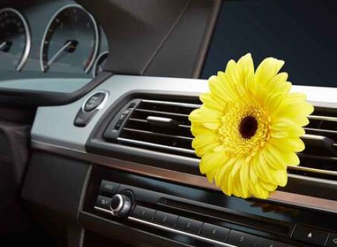 Dezinfekcia interiéru a klimatizácie ozónom alebo servis a plnenie klimatizácie.