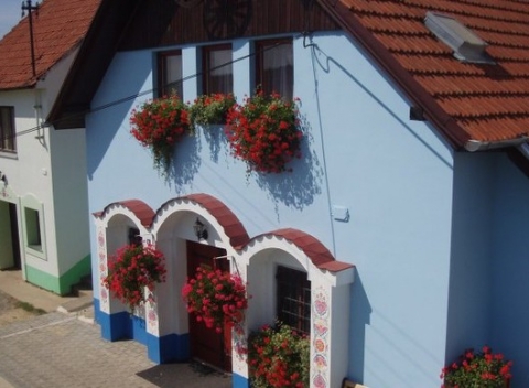 Dovolenka v srdci slnečnej Moravy, voňajúcej dobrým vínom v malebnej obci Boretice na úpätí Ždánického lesa v penzióne AB Vínna pivnica.  