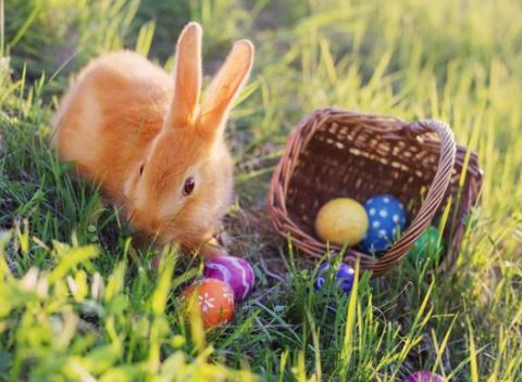 Prežite Veľkú noc netradične. Nezabudnuteľná dovolenka na Liptove s ubytovaním, polpenziou a wellness v hoteli Jánošík****. 