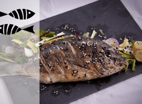 Najfajnejšie rybky pod Tatrami vo FAJNA RYBKA Sushi&grill bar. Ryby, rybky, rybičky by sa mali na vašom jedálnom lístku objaviť častejšie.