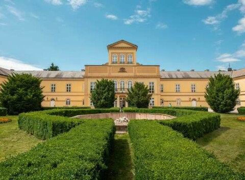 Pobyt s polpenziou v historickom Kaštieli Palárikovo uprostred anglického parku.