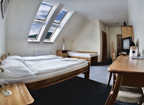 Areál ŠARIŠ PARKu tzv. šarišská dedina vám ponúka komfortné ubytovanie s wellness.