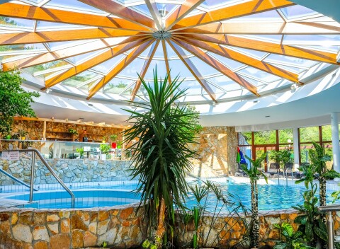 Liečebný pobyt v Hoteli Flóra - Dudince s neobmedzenými bazénmi, až 4 procedúrami + plná penzia.