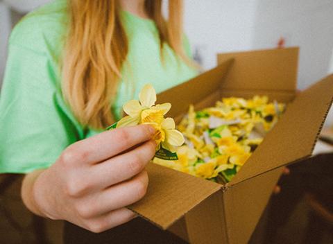 Chcete pomáhať? Môžete tak urobiť práve dnes - 7. apríla - na Deň narcisov. Kúpte si virtuálny narcis a podporte onkologických pacientov.