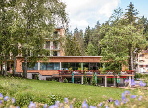 Letná dovolenka s polpenziou v Hrabovskej doline v hoteli Hrabovo.