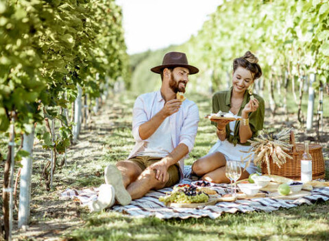 Neobmedzený wellness pobyt v Malokarpatskej vínnej oblasti v hoteli Majolika**** s polpenziou.