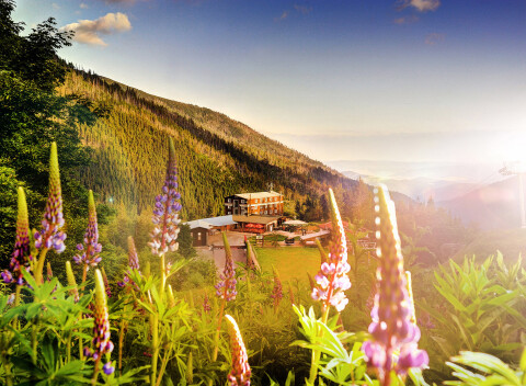 Horský wellness pobyt priamo na svahu CHOPOK Juh v hoteli Srdiečko s raňajkami alebo polpenziou.