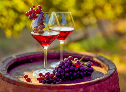 Penzión V Zahraničí s neobmedzenou konzumáciou vína, večerom s hudbou a polpenziou + deti zdarma.