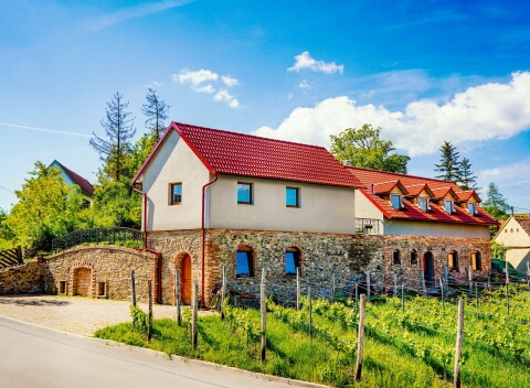 Vinársky pobyt na južnej Morave: Vinárstvo Lintner s riadenou degustáciou a občerstvením + raňajky.