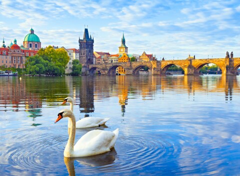 Praha v Royal Court Apartments priamo v centre mesta s raňajkami a fľašou vína.