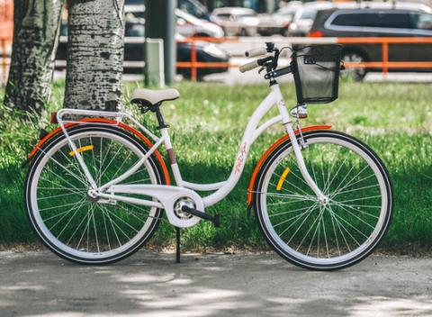 Štýlový dámsky bicykel DG Shaby 28 – rôzne farby. Vychutnajte si cestu do práce s vetrom vo vlasoch.