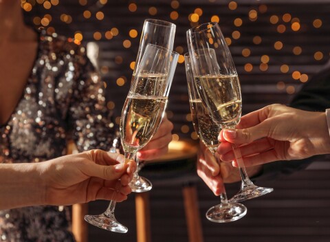 Silvester vo Vile Anna **** s polpenziou, wellness s bazénom a saunami + bohatý program.