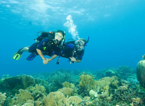Kurz potápania pre začiatočníkov alebo pokročilých v centre Academia Aquatica.