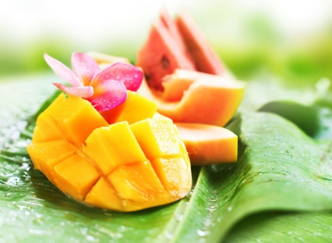 Regeneračná, relaxačná alebo lymfatická masáž pre dokonalý letný relax.