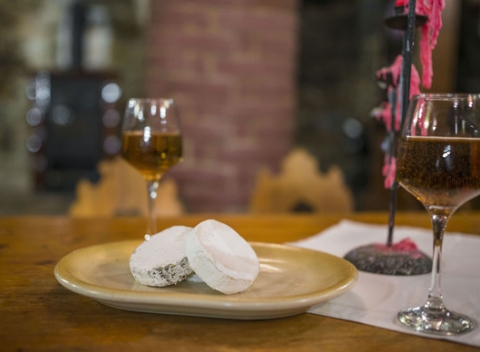 Grilovaný alebo nakladaný hermelín v pivárni Metropol. Pochúťka na prvé zahryznutie.