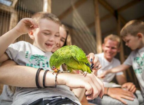 Vstup do ZOOKONTAKT family park v Liptovskom Mikuláši - rodinný program na celý deň.