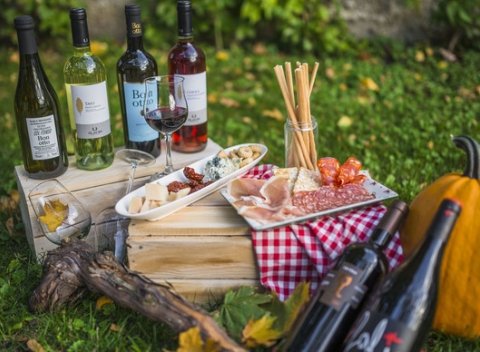 Degustácia vín a antipasti v Primitivo. Ochutnajte to naj z malých talianskych vinárstiev.