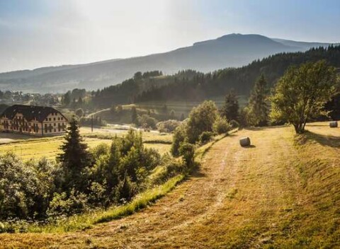 Holiday Resort Telgárt medzi 3 národnými parkmi a len 4 minúty pešo od slávneho viaduktu.