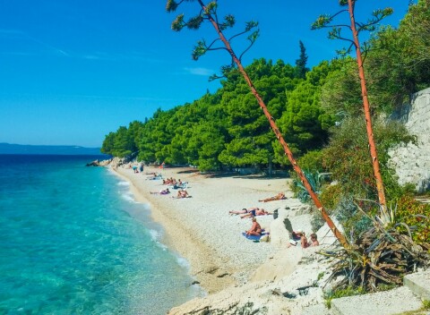 Chorvátsko: Makarská riviéra len 80 m od pláže vo Vile Ante s komfortnou autobusovou dopravou + vonkajší bazén