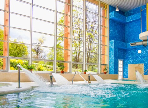 Konstantinovy Lázně: Luxus v 4* Hoteli Löwenstein v apartmáne s kuchynkou + wellness, procedúry a polpenzia.