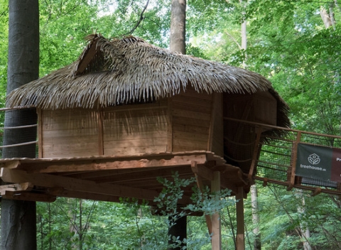 Rozprávková noc s raňajkami v domčeku v korunách stromov pre 4 osoby v Trenčianskych Tepliciach.