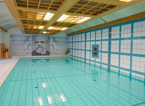 Karlove Vary: Hotel Dvořák Spa & Wellness **** s polpenziou formou bufetu a neobmedzeným wellness s bazénom.