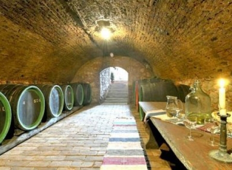 Pálava v Orea Wellness Hoteli Iris *** s polpenziou, saunou a procedúrami.