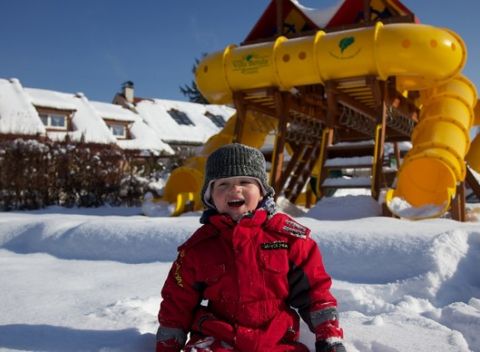 Hippoterapeutický & canisterapeutický pobyt s plnou penziou vo Ville Betule***.