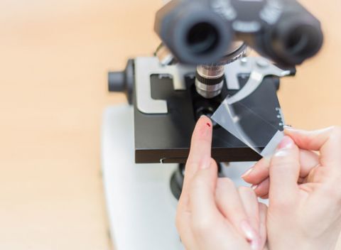 Vy im dáte kvapku krvi a oni vám z nej určia celkový obraz vášho zdravia.