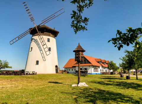 Pohodový pobyt s neobmedzenou konzumáciou vín a polpenziou v hoteli Bukovanský mlyn na južnej Morave