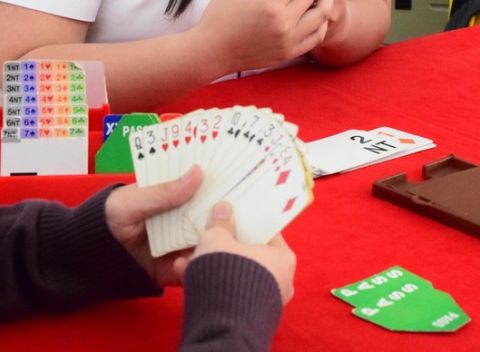 Hrať bridž sa určite oplatí!  Bridž - inteligentná zábava, ktorú sa naučíte na 6-týždňovom kurze.