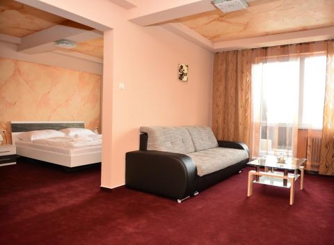 Hotel Ďumbier Brezno ponúka jedinečné ubytovanie plné relaxu, len 2 km od Nízkych Tatier.