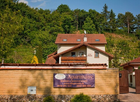 Piešťany: Pobyt vo Ville Pšenek s raňajkami v izbe či na terase, vstupom do infrasauny a masážou