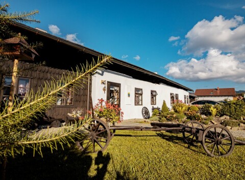 Národný park Šumava v Penzióne Sněžná v štýlových izbách s raňajkami/polpenziou