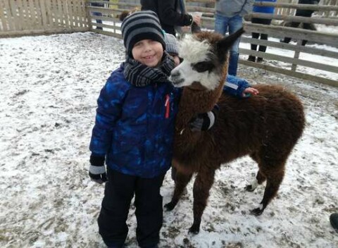 Vstup do ZOOKONTAKT family park v Liptovskom Mikuláši (otvorené celoročne)