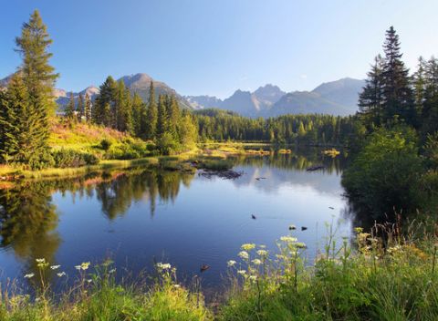 Príďte sa nadýchať tatranského vzduchu a oddýchnuť si do hotela Sosna v Tatrách.