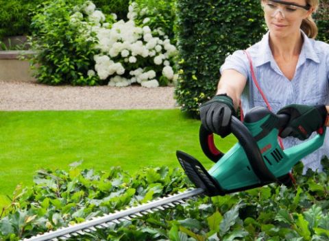 Ľahké nožnice na živý plot Bosch AHS 60-26 s príkonom 450W, dĺžka lišty 60 cm.