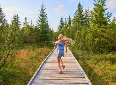 Šumava: Volary v Městskom Hoteli Bobík *** s polpenziou, Nordic Walking palicami a 20 % zľavou na procedúry