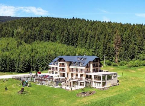 Leto na Kubínskej holi v HOTELI GREEN*** s wellness a polpenziou. Ideálne pre rodiny s deťmi.