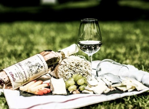 Domáce svieže limonády z čerstvého ovocia, koláčik či fľaša vína so syrovou misou.