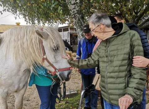 Hipoterapia - terapia s koňmi a zážitkové učenie pre mladých a dospelých ľudí so špeciálnymi potrebami