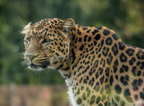 Vstup do ZOO Košice s dieťaťom do dvoch rokov zadarmo