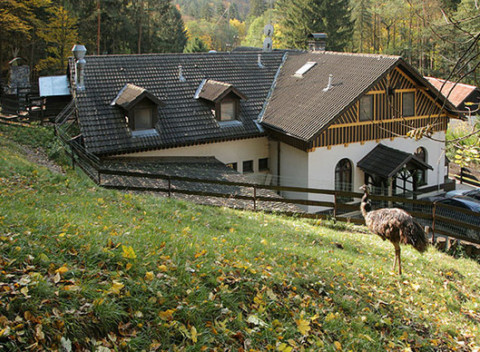 Vydajte sa na Divoký západ a zažite westernovú atmosféru ranča U Jelena v blízkosti Brna.