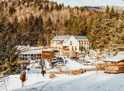 Javorníky a CHKO Kysuce vo Wellness & Spa Hoteli Čertov *** s polpenziou, neobmedzenými bazénmi a saunami