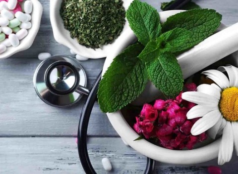 Zdravie prírodnou cestou – terapie, masáže, bamkovanie a detoxikácia tela.